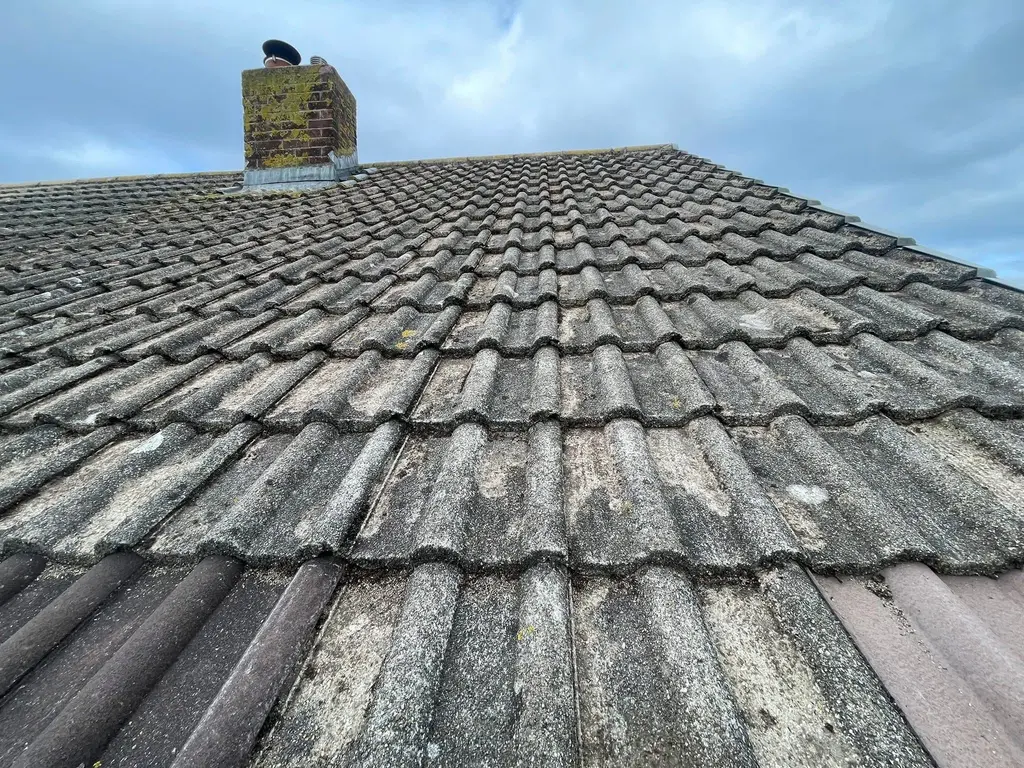 Roof Moss after — roof moss removal